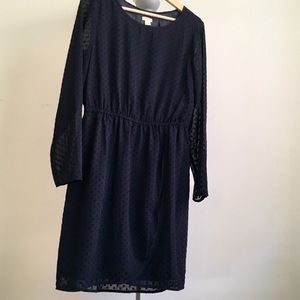 J Crew Factory Navy Swiss Dot Dress